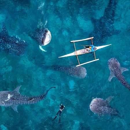 Sharky Hostel オスロブ エクステリア 写真